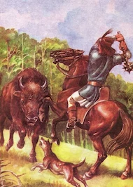 Bogdan 