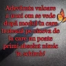 Cornel Dinu