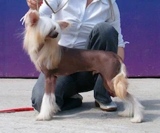 Marius Popa 