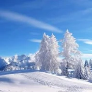 Valentin