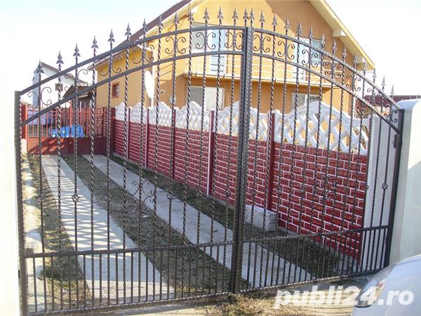 Porti si garduri timisoara