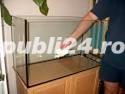 Acvariu 50 l nou Acvariu 50 l nou