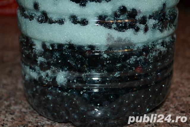 Afinata de casa din Bucovina