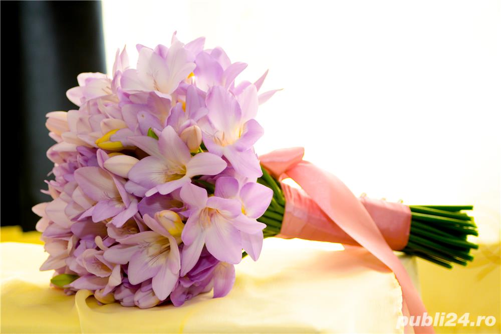 Foto As foto video Timisoara