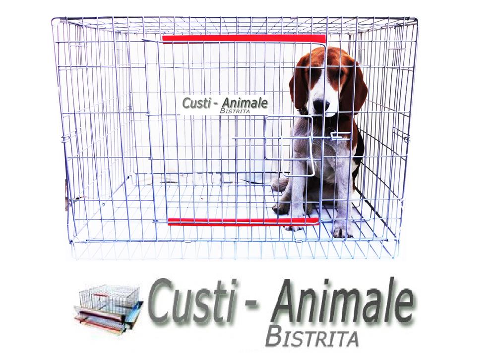 Custi pliabile caine vopsita