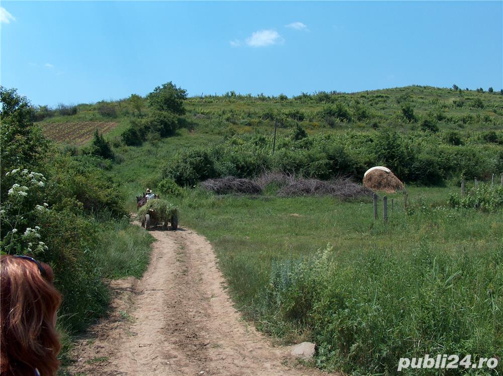 Chiţorani-Bucov, teren 2500mp extravilan la frontiera cu intravilanul