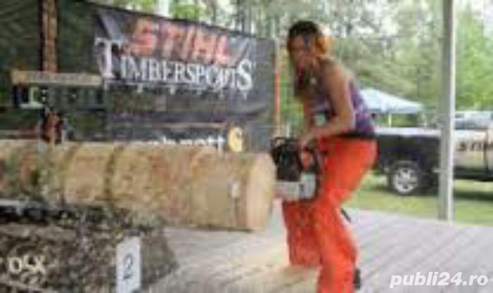 Drujbist tai lemne in Tulcea