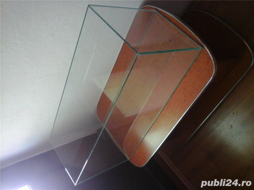 Acvarii Arad Acvarii Arad