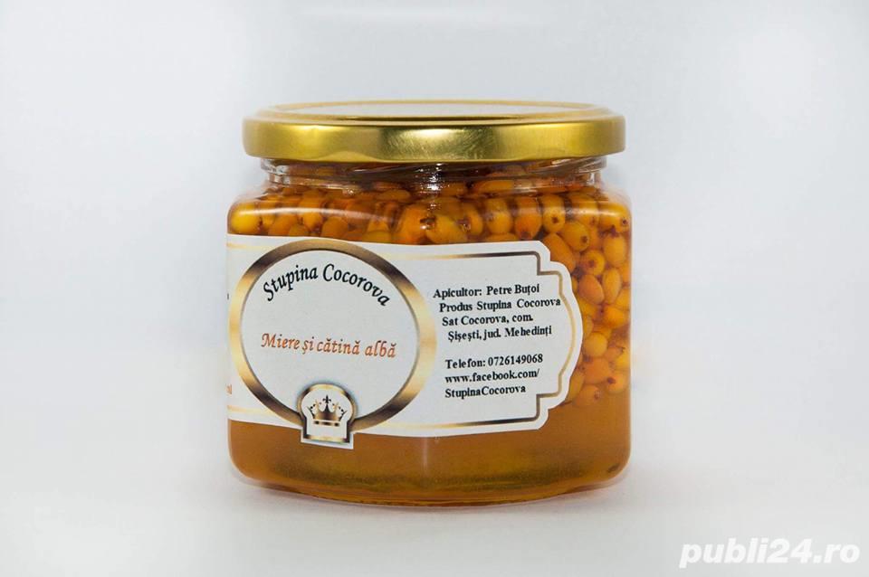 Miere albine 100% naturala cu fructe de catina (produse naturiste) Miere albine 100% naturala cu fructe de catina (produse naturiste)