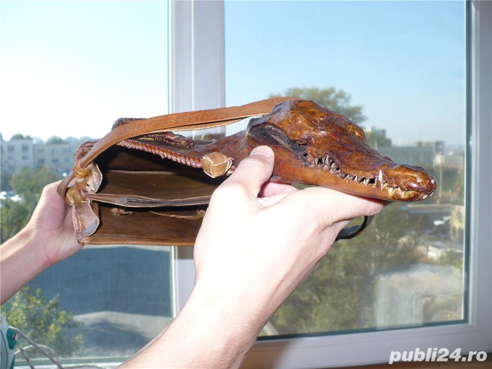 VIND POSETE CROCODIL REALI VIND POSETE CROCODIL REALI