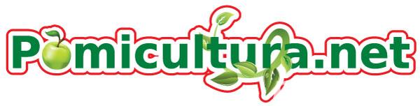 Pomi fructiferi de vanzare