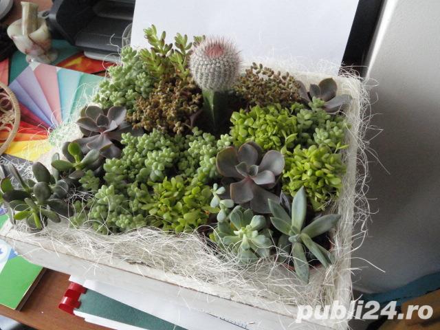 buchete flori buchete flori
