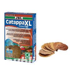 frunze catappa pentru acvariu creveti sau pesti 