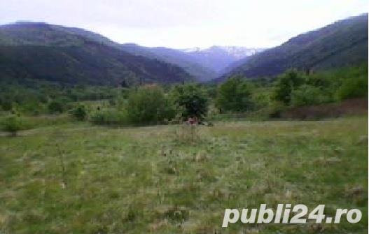 Vand teren intravilan, 500 mp, Dejani, Fagaras Vand teren intravilan, 500 mp, Dejani, Fagaras