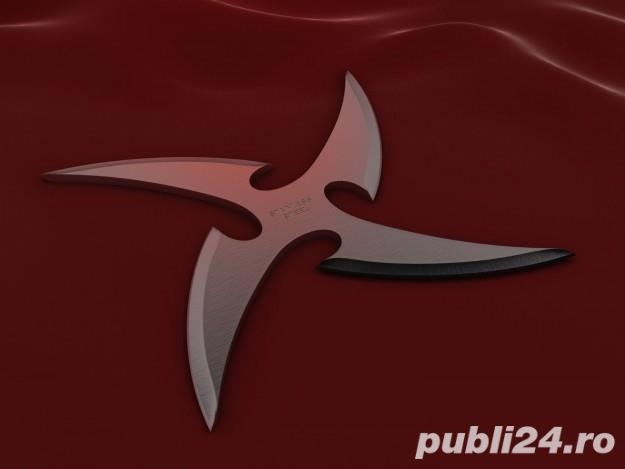 Shuriken ninja steluta