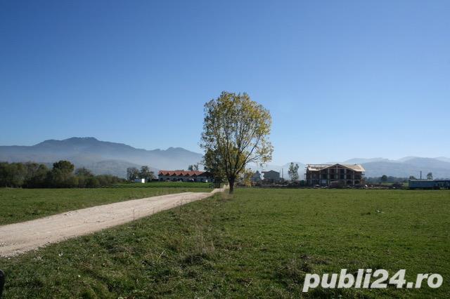 Teren Rasnov - Panicel. Teren Rasnov - Panicel.