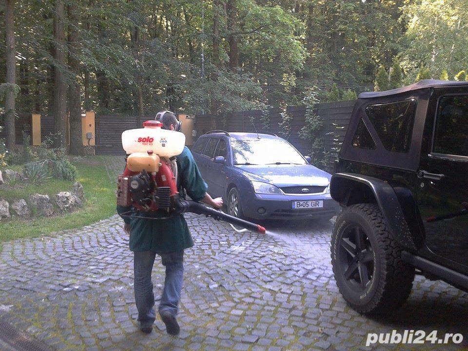 Dezinsectie dezinfectie deratizare