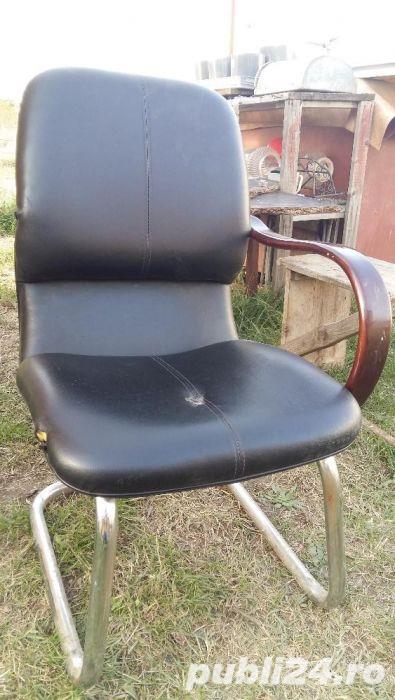 Scaun de piele Scaun de piele