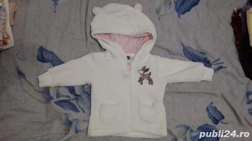 Hainuta bebe Hainuta bebe