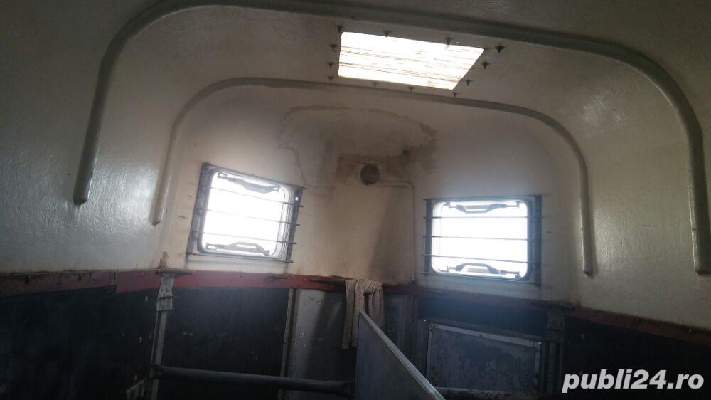 Transport animale(cai ,vaci ,potci,caini pisici,....s.a)