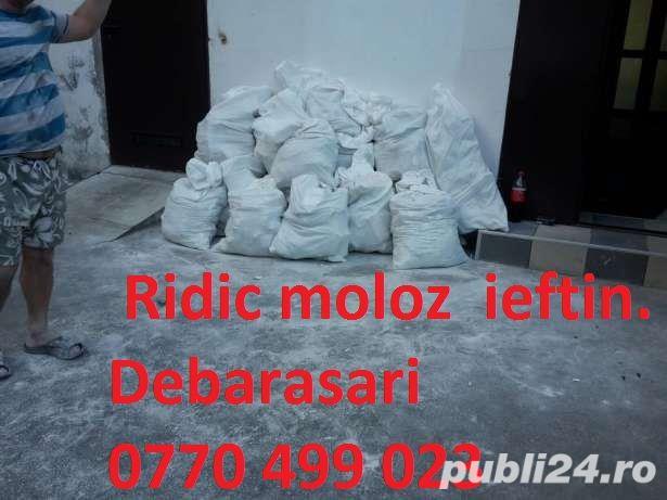 Debarasam beciuri poduri+curatenie . ridic moloz la sac , ridic diverse  !