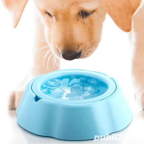 Vas pentru apa mentinere rece