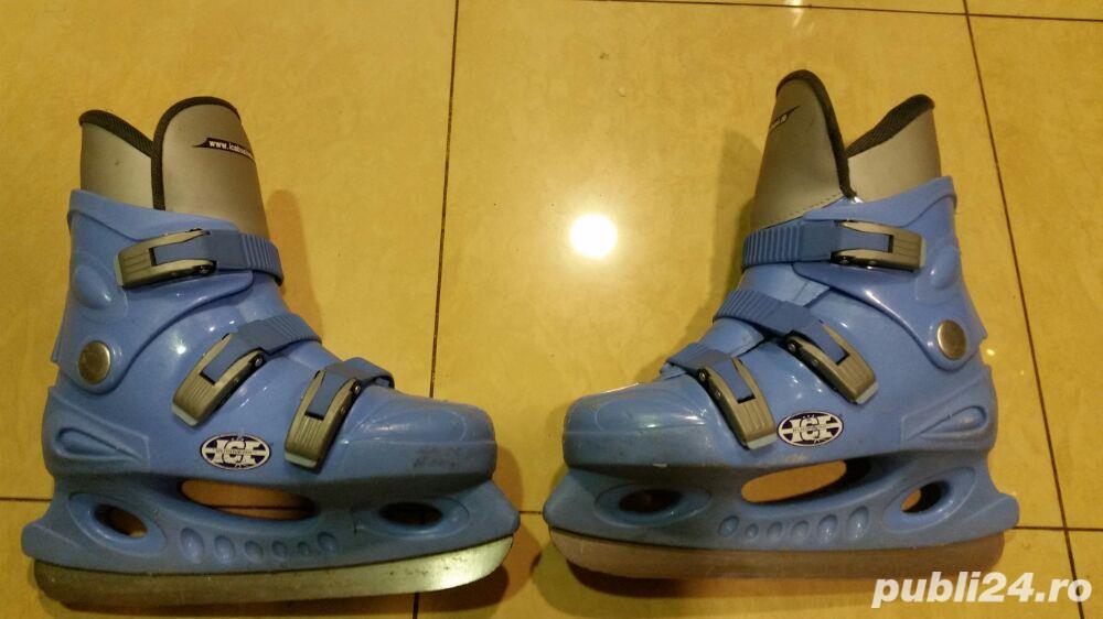 Patine gheata Patine gheata