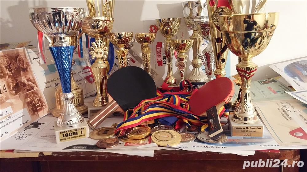 Palete de tenis de masa asamblate 399 lei oferta!!!