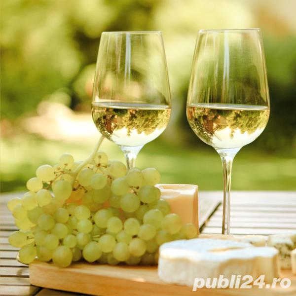 VIN ALB NATURAL VIN ALB NATURAL