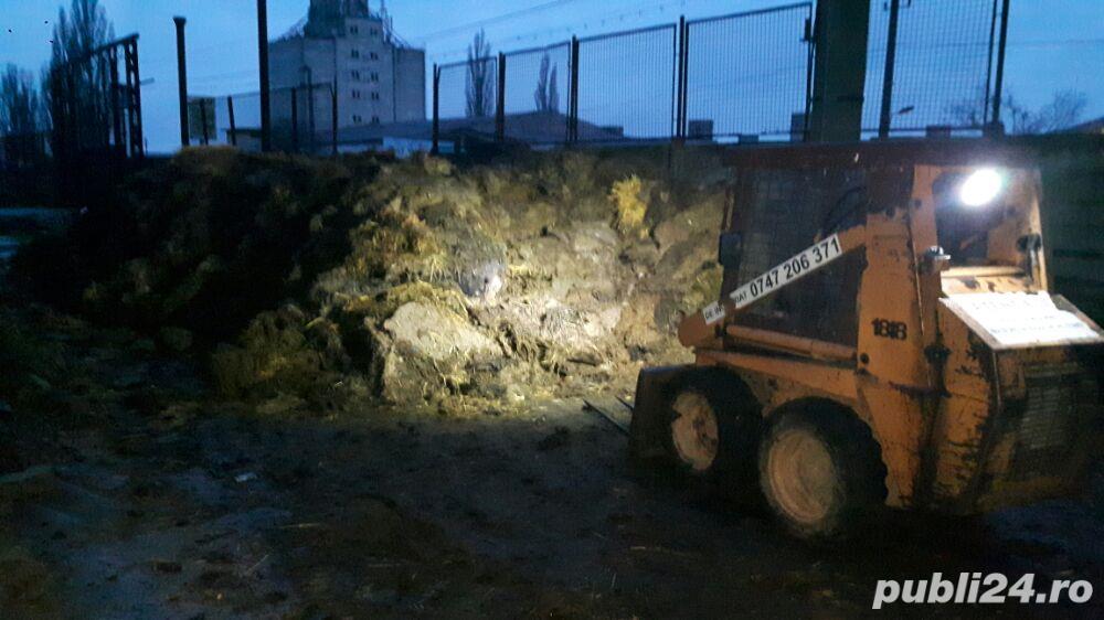 Curat saivane grajduri de animale