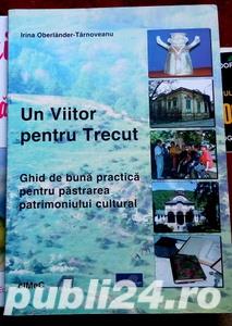  	 Un viitor pentru trecut, Irina Oberlander-Tarnoveanu, 2002