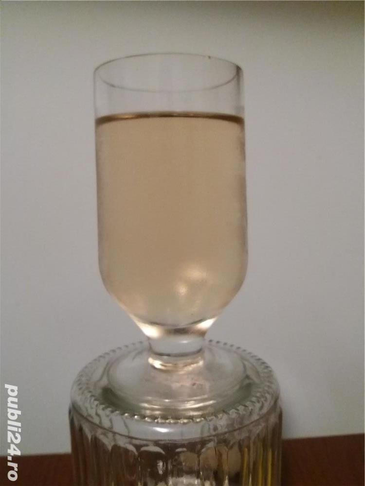 Vin Pietroasele Buzau feteasca , merlot , tamaioasa , tescovina