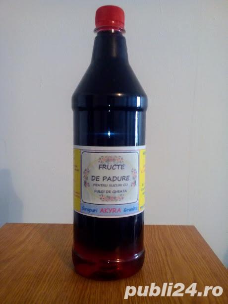 Sirop Granita Fructe de padure  