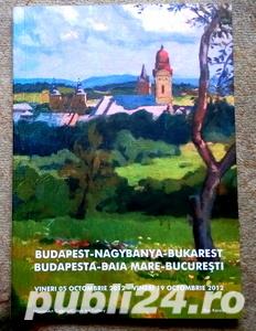 Budapesta-Baia Mare-Bucuresti, 2012