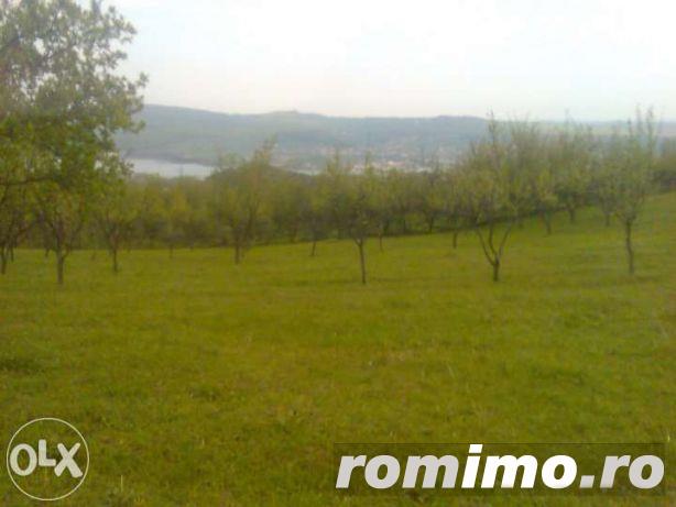 TEREN INTRAVILAN 2624M2 TEREN INTRAVILAN 2624M2