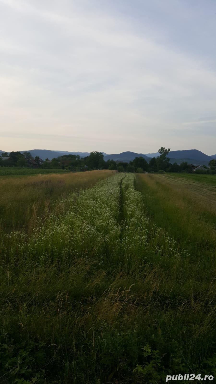 Vand teren intravilan  14 ari ,sat Sasar jud Maramures