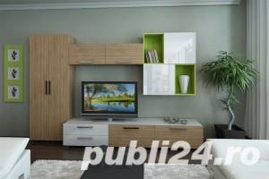 Montaj/demontare/asamblare/montare mobila/meserias priceput 