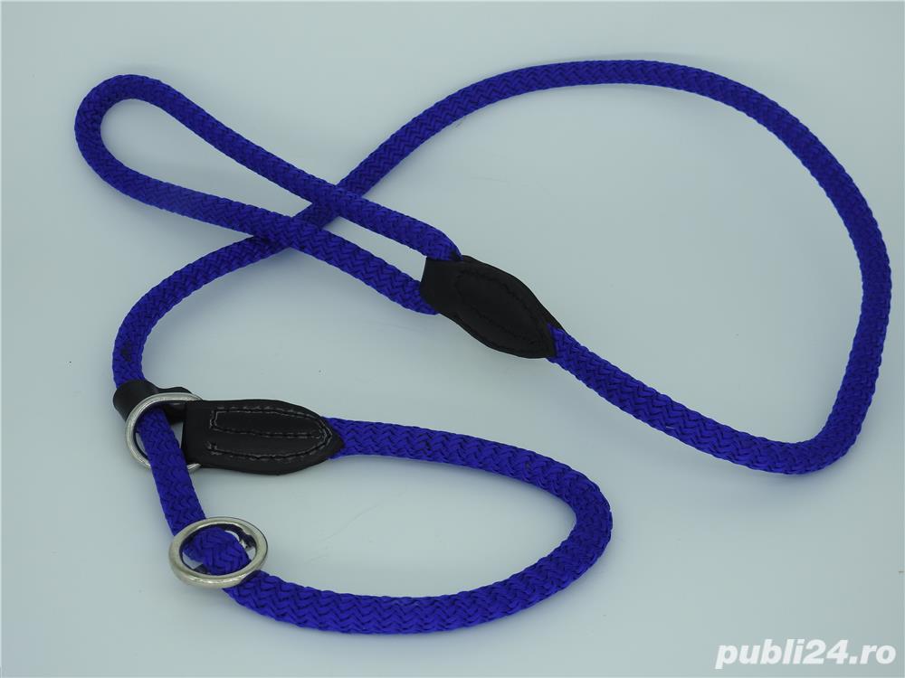 Lesa strangulanta pentru caini 