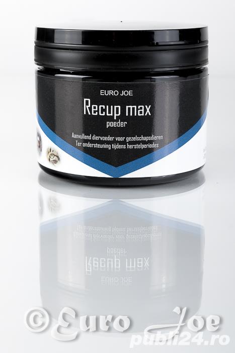 Supliment nutritional de recuperare pentru caini Recup Max 