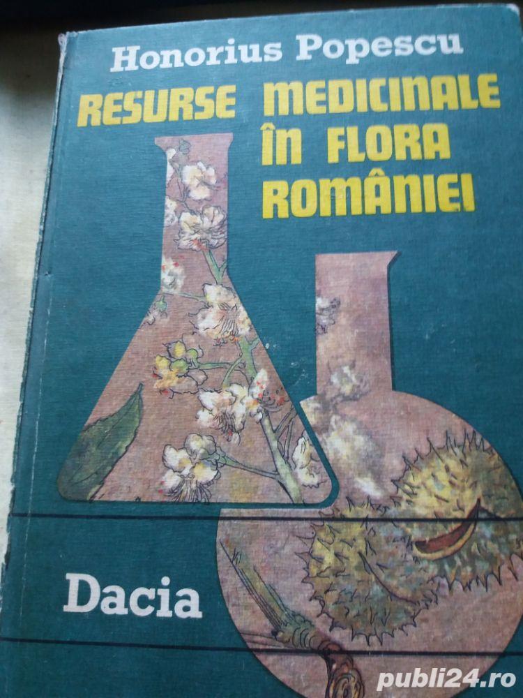 resurse medicinale in flora romaniei h.popescu resurse medicinale in flora romaniei h.popescu