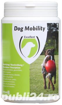 Supliment pentru articulatii caini Mobility 