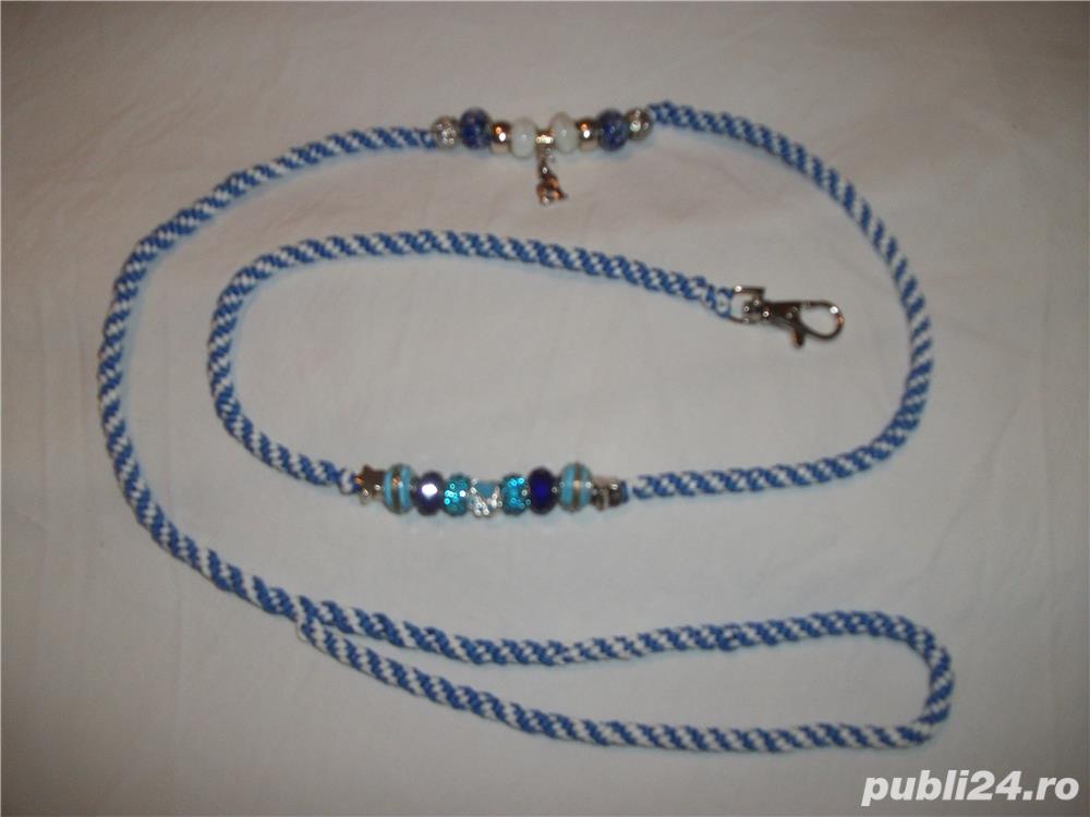 Lesa impletita manual pentru expozitii canine