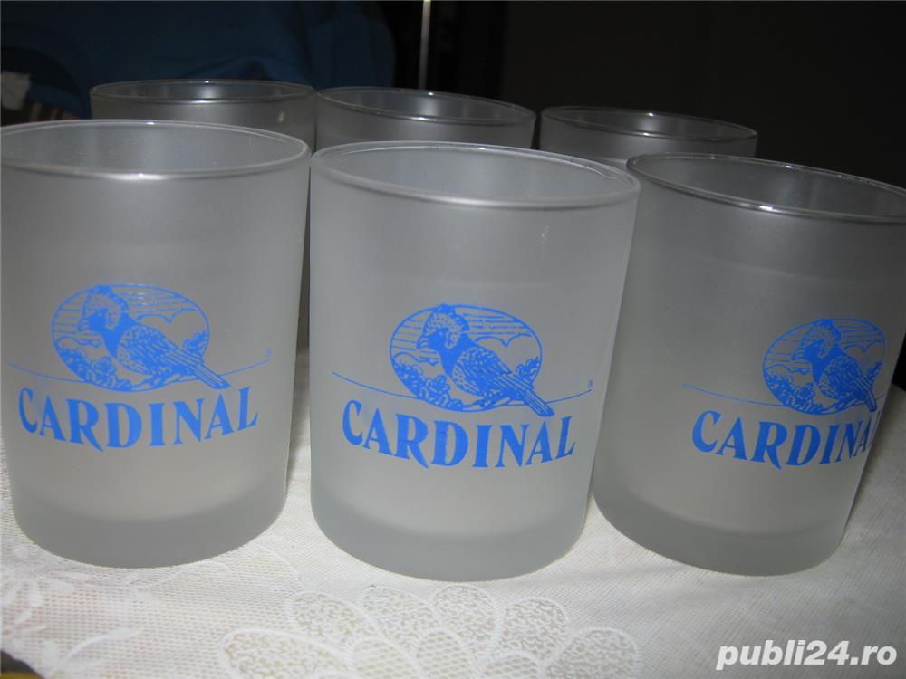 Pahare cardinal vodka,10 bucati transparente si mate,pahare originale noi,nefolosite,mate,unicate !!