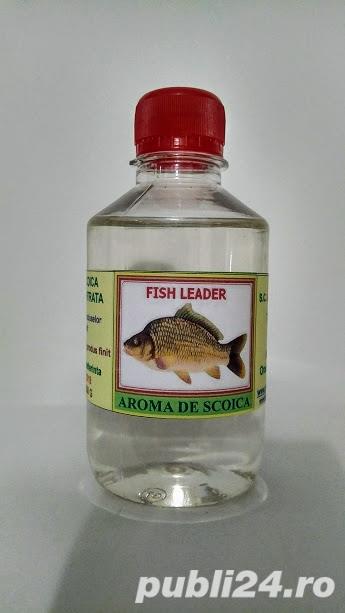 Aroma de Scoica superconcentrata Fish Leader (pentru pescuit) Aroma de Scoica superconcentrata Fish Leader (pentru pescuit)