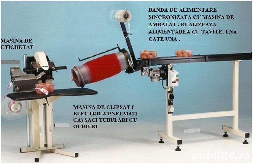 Linie ambalare caserole fructe si legume in plasa tubulara
