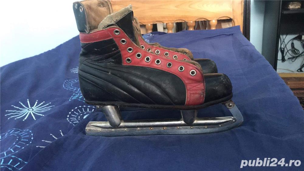 vand pantine gheata,patinaj viteza