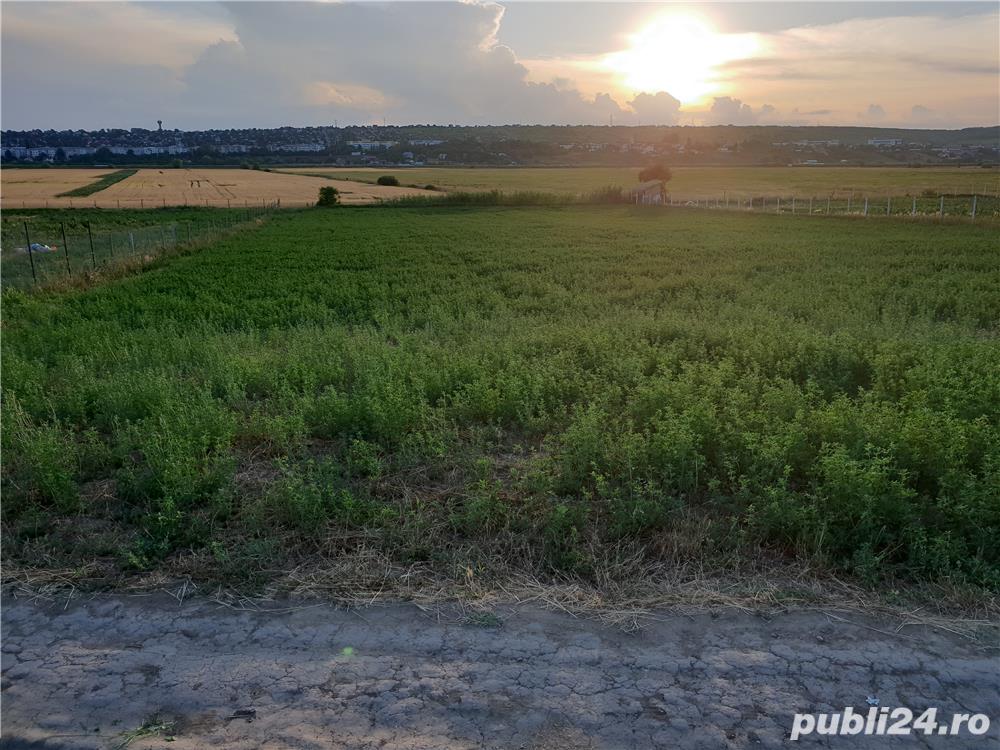 Teren de vanzare in Vaslui