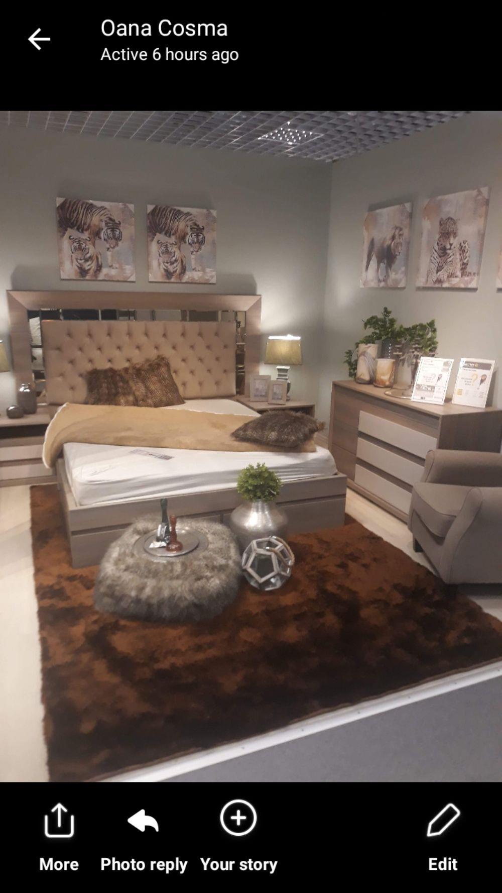 Montez mobila la domiciliu