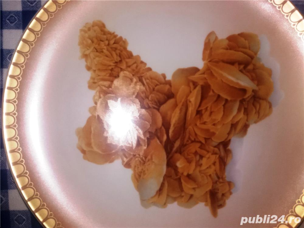 Placa colectie FLORI DE MINA Antique German Furstenberg