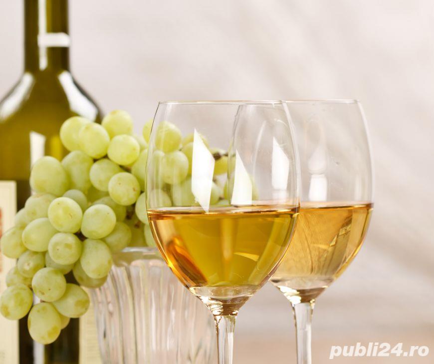 Vin de Dragasani, feteasca regala